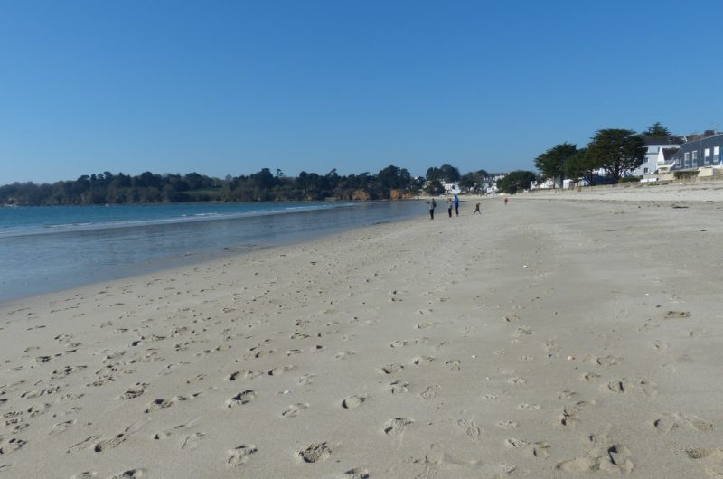 201495-7—plage-p1080189