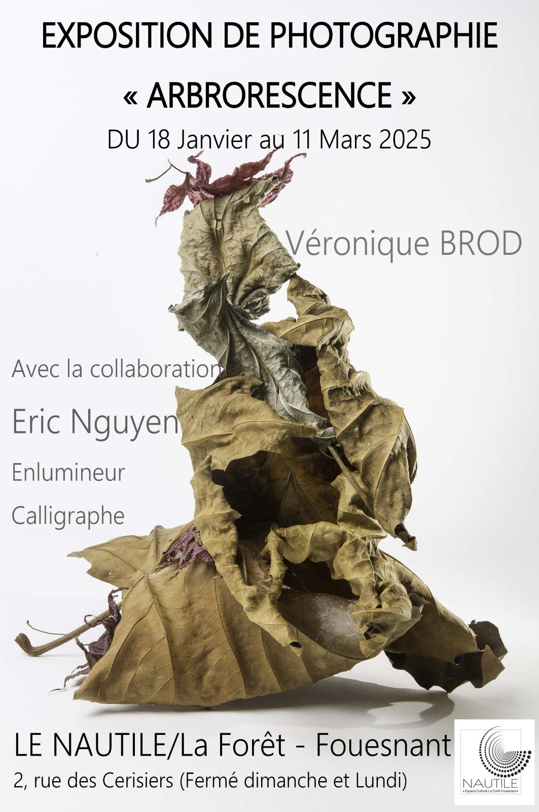 AFFICHE Expo Véronique BROD