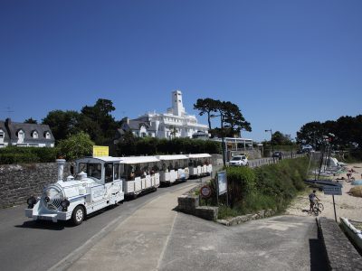 CELTIC TRAIN