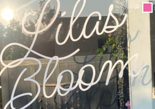 lilas bloom